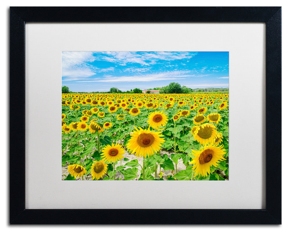 Blanchette Photography 'Field of Yellow', Black Frame, White Matte, 20"x16"