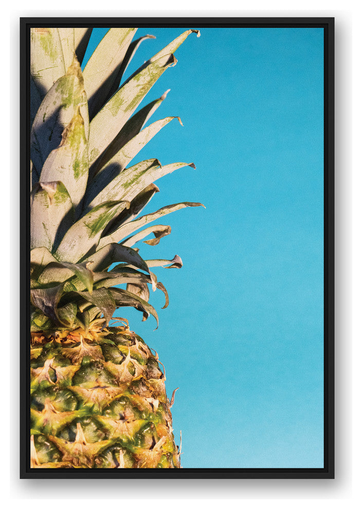 Large Pineapple Blue 24x36 Black Floating Framed Canvas