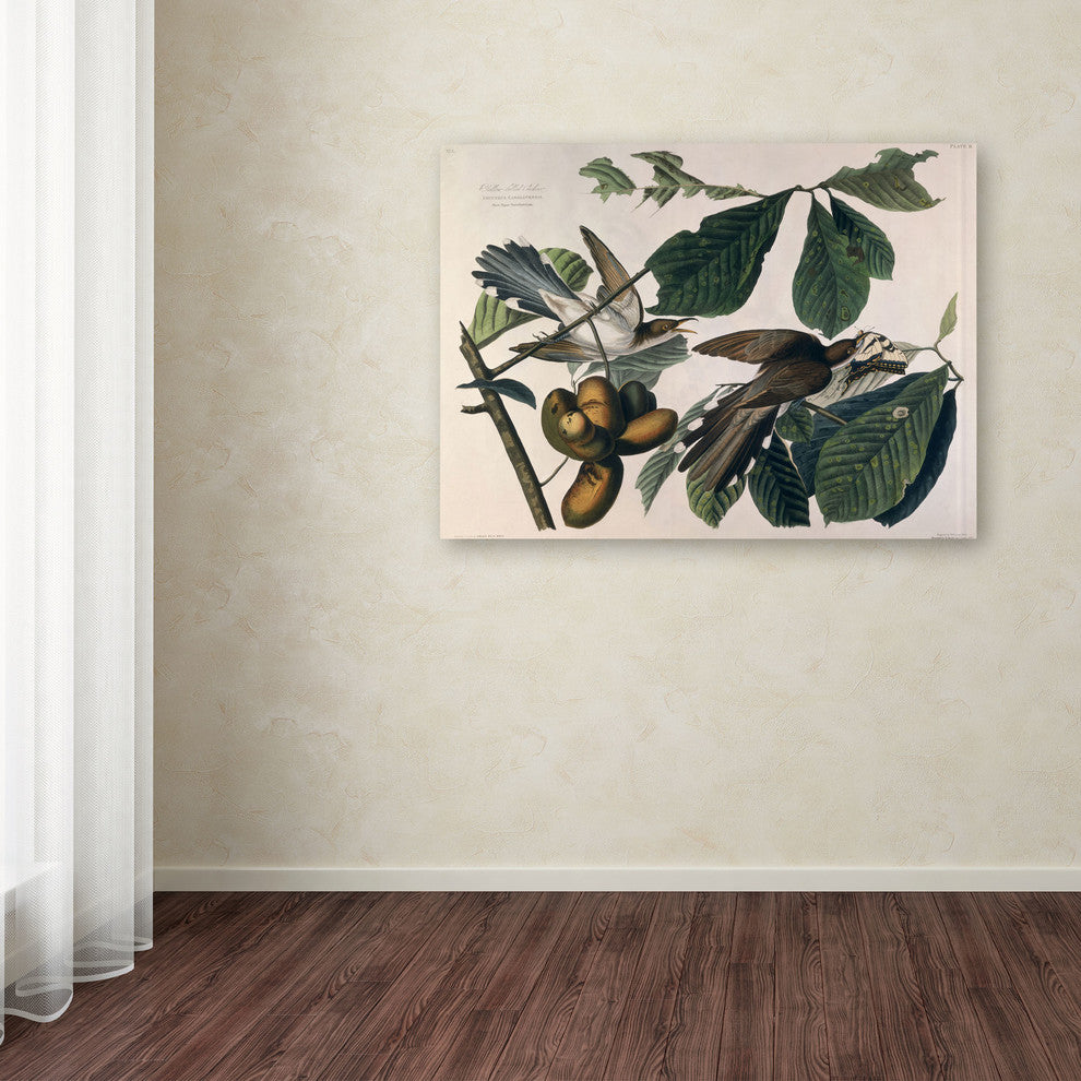 'Yellow-Billed Cuckoo' Canvas Art by John James Audubon