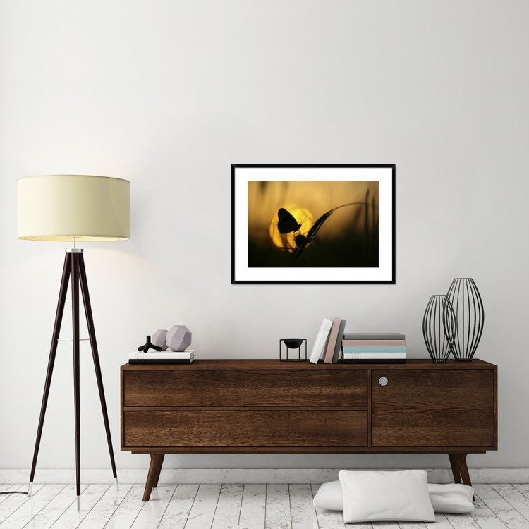"August" Framed Digital Print by Janini (Zhana Topchieva), 38"x28"