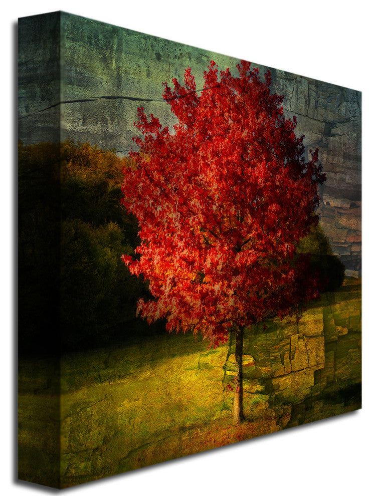 'Autumn Red' Canvas Art by Philippe Sainte-Laudy