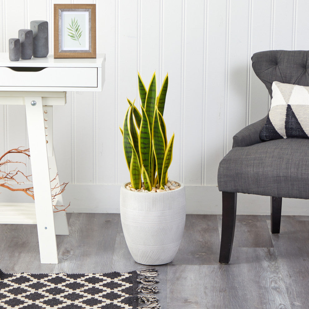 30" Sansevieria Artificial Plant, White Planter