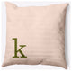 18" x 18" Modern Monogram Indoor/Outdoor Polyester Throw Pillow, Olive