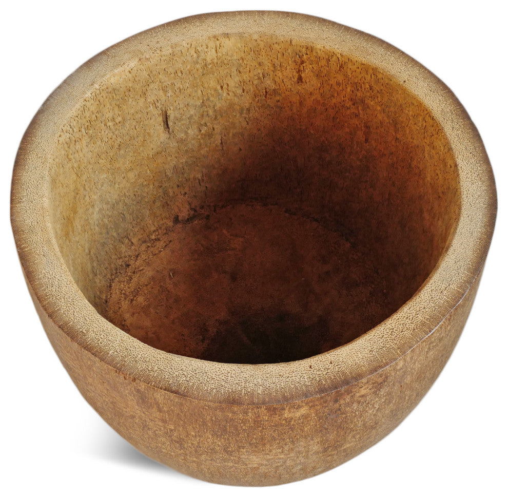 Coconut Palm Pot Short