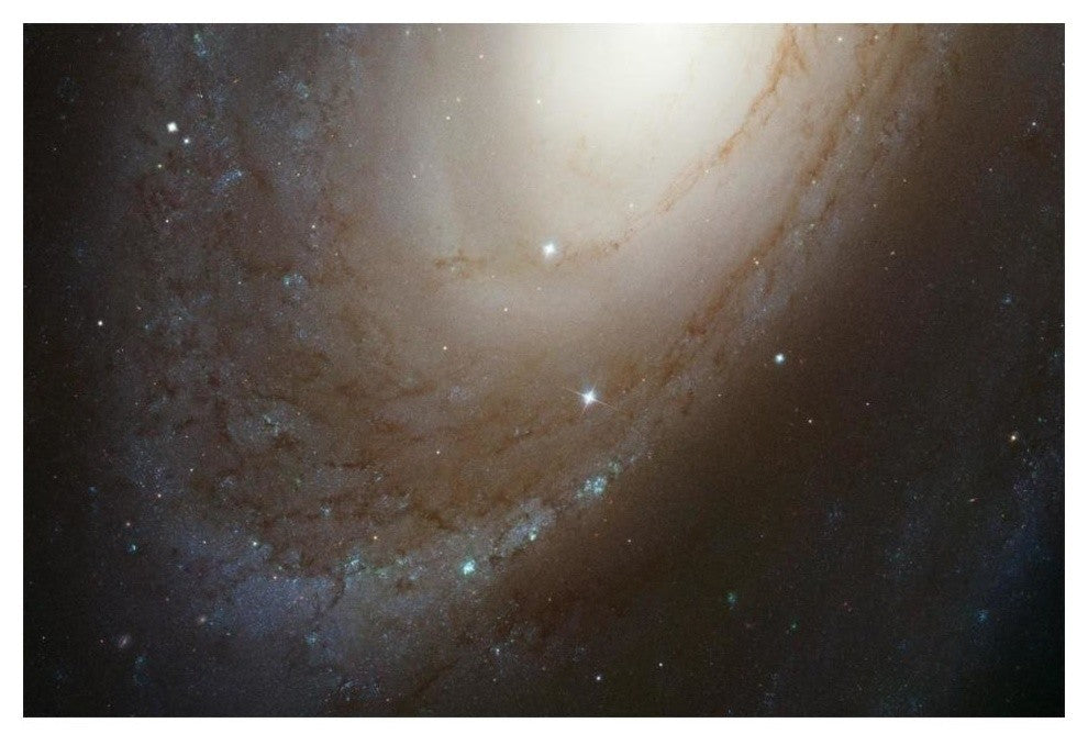 "HST ACS Image of M81" Digital Paper Print by NASA, 20"x14"