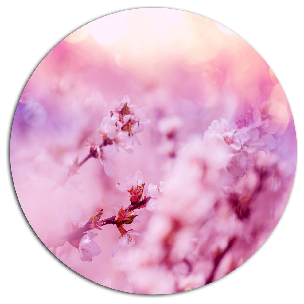 Close-Up View Of Blossoming Cherry, Floral Disc Metal Wall Art, 11"