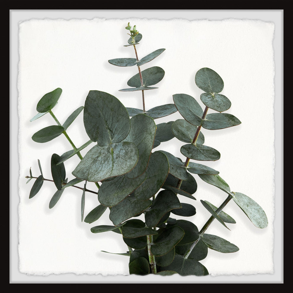 "Green Eucalyptus Leaves" Framed Painting Print, 24x24