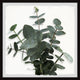 "Green Eucalyptus Leaves" Framed Painting Print, 24x24