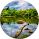Boyana Lake In Sofia Bulgaria, Landscape Large Disc Metal Wall Art, 11"