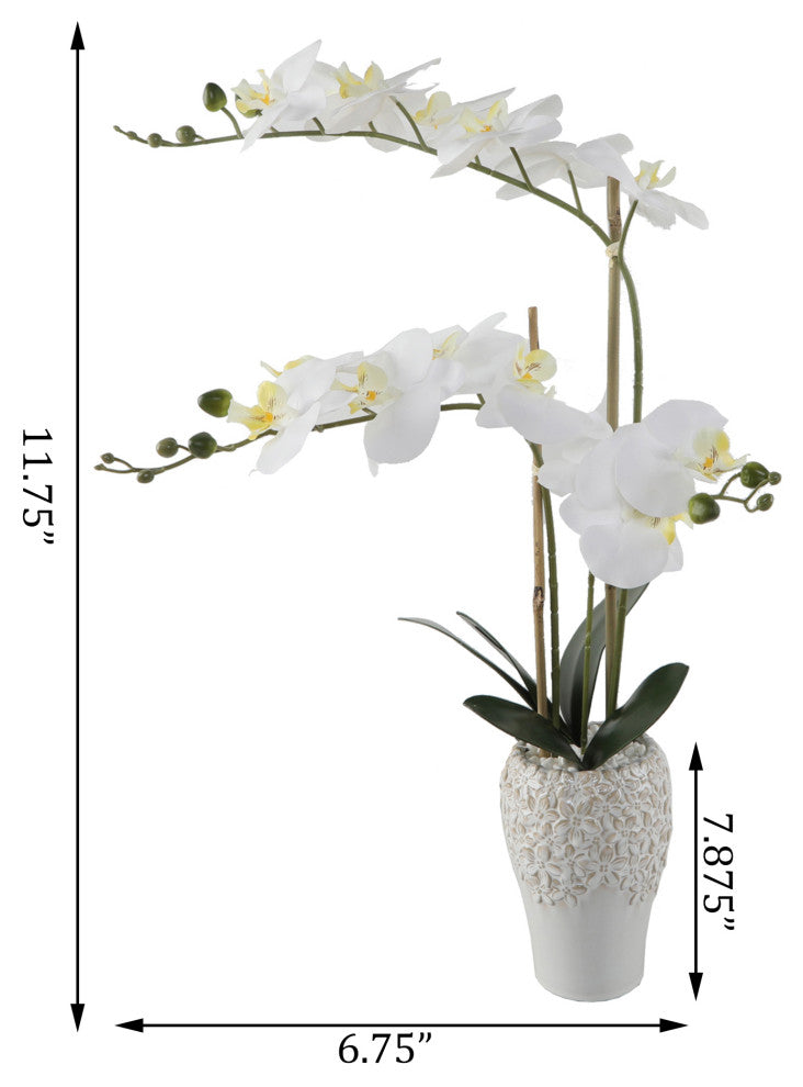 20"H Real-Touch Orchid In 5X8" Ceramic Vase