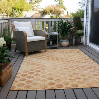 Machine Washable Indoor/Outdoor Chantille ACN1642 Peach 5' x 7'6" Rug
