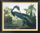 "Louisiana Heron" Framed Canvas Giclee by John James Audubon, 34x28"