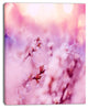 Close Up View of Blossoming Cherry, Floral Canvas Art Print, 30"x40"