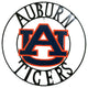 Auburn  Tigers Wrought Iron Wall Decor, 18"