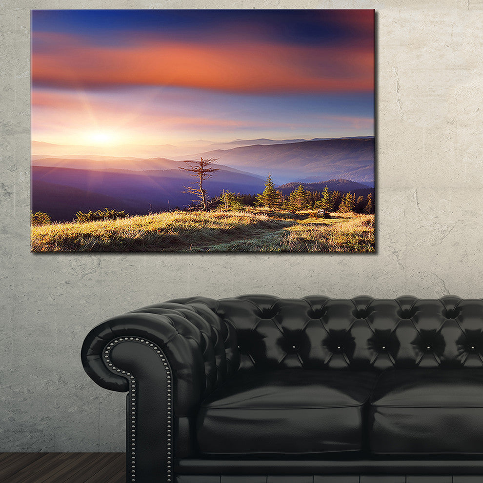 Fantastic Sunrise and Dead Tree - Landscape Photo Canvas Art Print - 40x30
