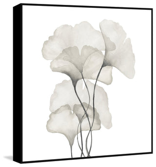 "Ginkgo Biloba Leaves" Floater Framed Painting Print, Canvas, 18"x18"