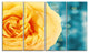 Rose Flower with Lit up Background, Floral Canvas Artwork, 48"x28", 4 Panels