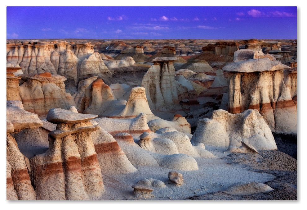 Mike Jones Photo 'Bisti Badlands' Canvas Art, 22x32