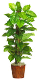 63" Large Leaf Philodendron Silk Plant, Real Touch