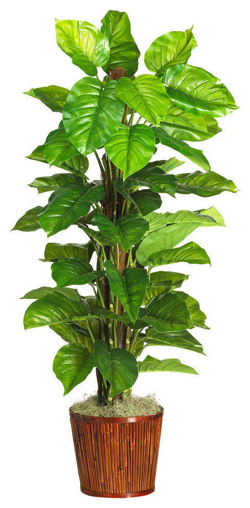 63" Large Leaf Philodendron Silk Plant, Real Touch