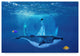 "Ocean World 3" by Ata Alishahi, Canvas Art, 22"x32"