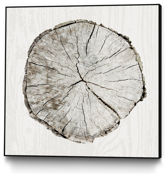 "Woodland Years I" Art Block Framed Canvas, 20"x20"