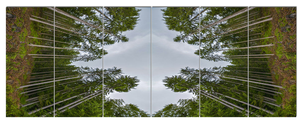 Circle Composition of Coniferous Trees, Landscape Canvas Art, 70"x28", 6 Panels