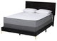 Liberty Velvet Queen Size Panel Bed, Black
