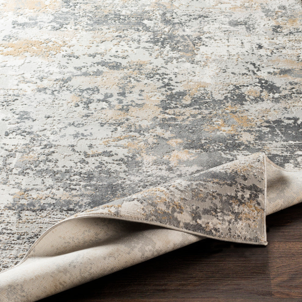 Aisha AIS-2303 Rug, Charcoal, 2'7"x7'7"