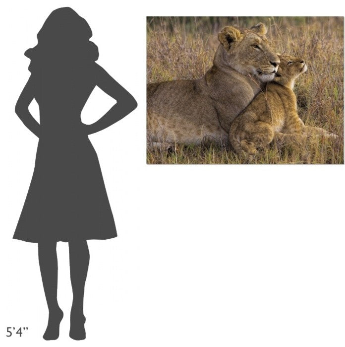 "Baby Lion With Mother" Stretched Canvas Giclee by Henry Jager, 40x30"