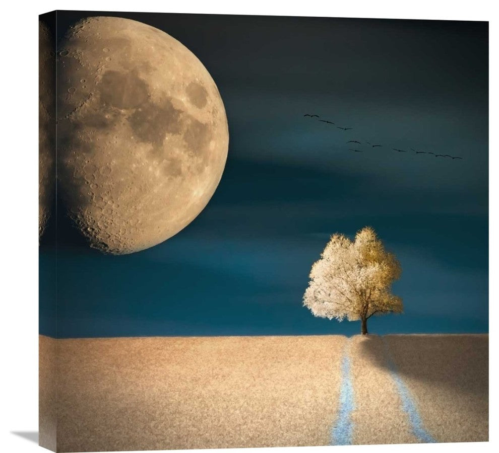 "Gmo" Stretched Canvas Giclee by Piotr (Bax) Krol, 22"x22"