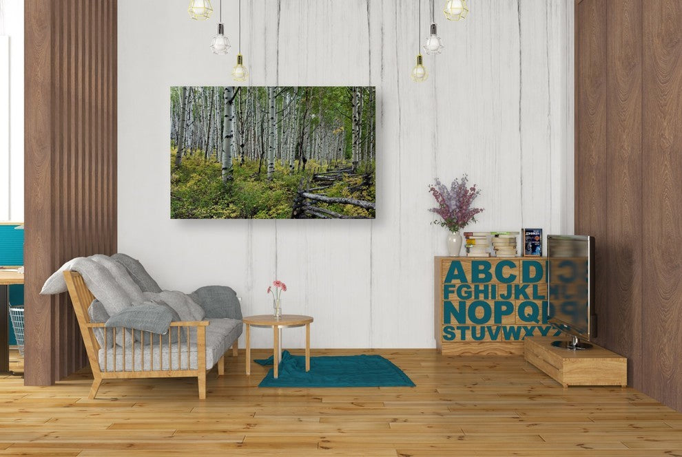 Epic Graffiti "Aspen Grove Rail Fence" Giclee Canvas Wall Art, 26"x40"