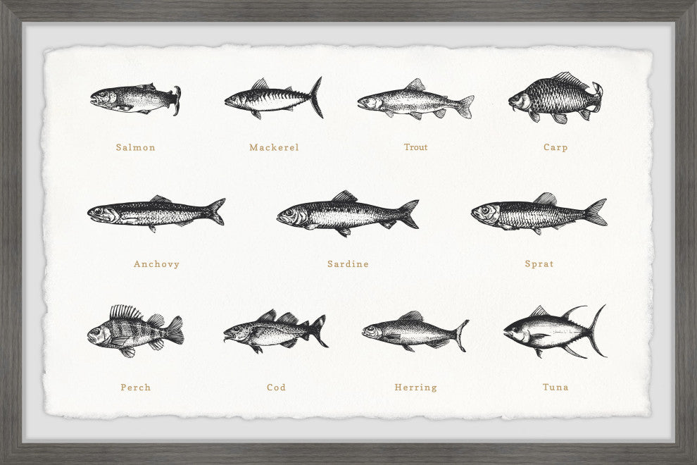 "Deep-Sea Fishes in White" Framed Painting Print, 12x8