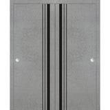 Bypass Doors 64 x 84 | Planum 0011 Concrete with  | Sturdy Rails