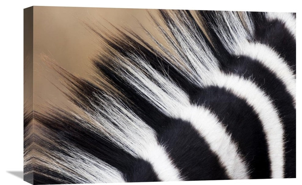 "Zebra Mane, Khama Rhino Sanctuary, Serowe, Botswana" Artwork, 24" x 16"