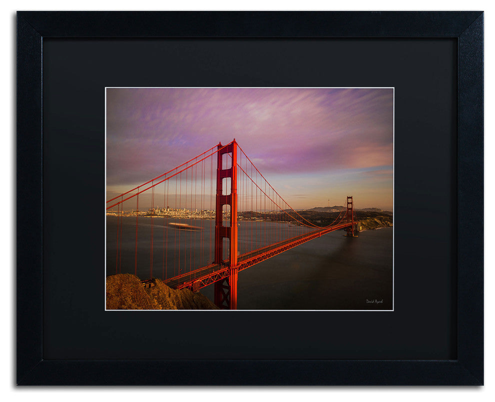'Golden Gate Bridge' Matted Framed Canvas Art by David Ayash