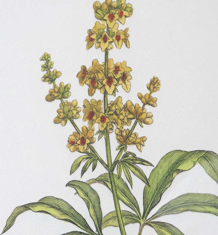 Uttermost 41461 Wildflower Study 22" x 19" Framed Floral Painting