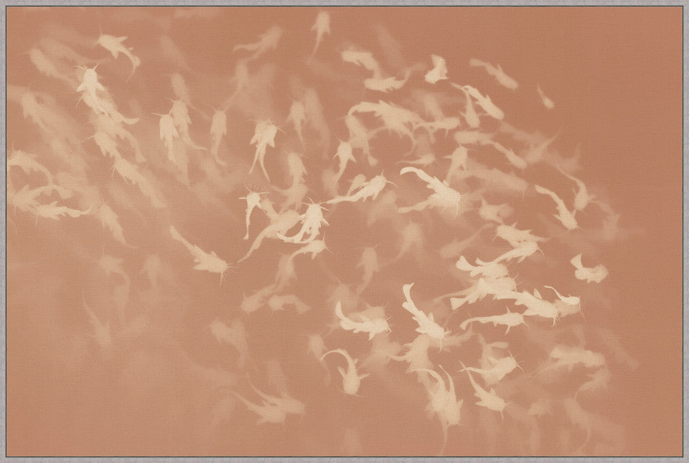 Swimming In Blush 1, Giclee Reproduction Artwork
