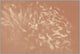 Swimming In Blush 1, Giclee Reproduction Artwork