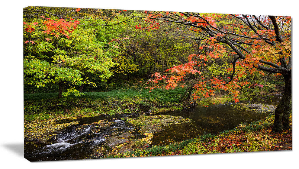 Fall Trees in Bright Colors, Landscape Canvas Art Print, 40x20