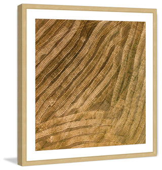 "After The Plow" Framed Print by Karolis Janulis