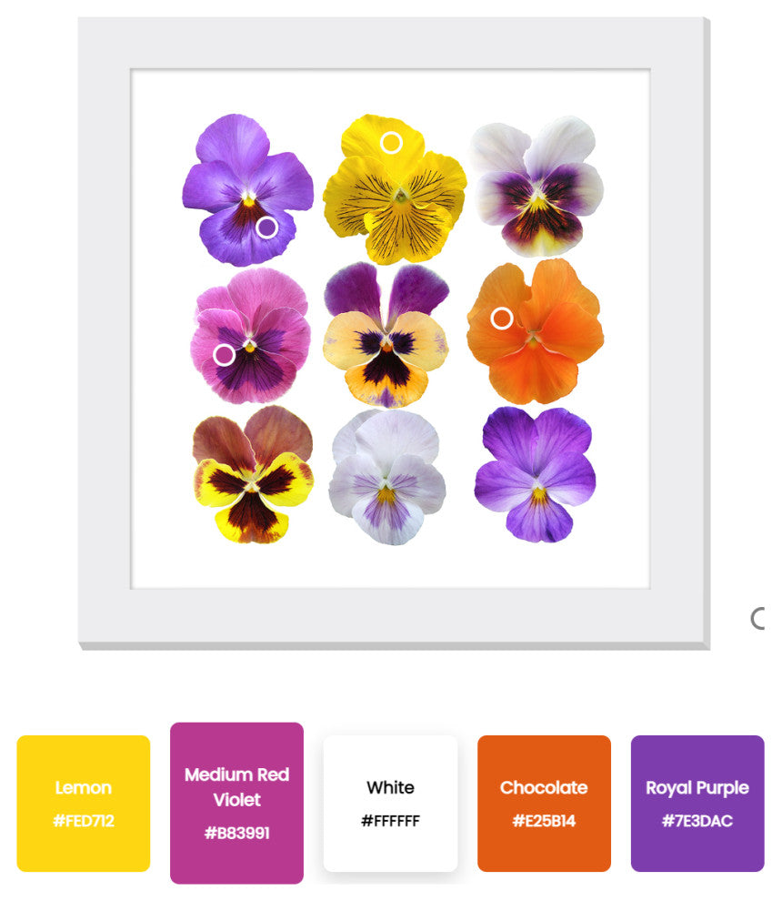 Grandeur Museum-Grade Luxurious Wall Art Statement, WM02002