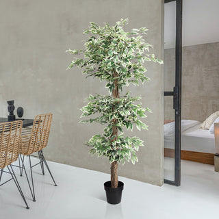 Lifestyle shot showing the tree in a real interior setting.