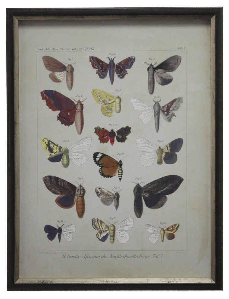 Butterflies Print On Linen Background, Shadowbox