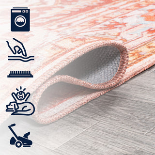 Asa Ornate Medallion Machine-Washable Area Rug