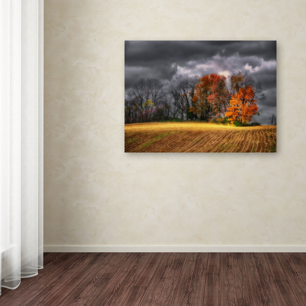 'Autumn Field' Canvas Art by Lois Bryan