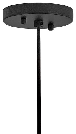 Hinkley Arlen Large Hanging Pendant 12V, Black