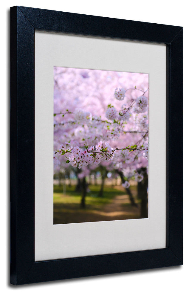 'DC 2' Matted Framed Canvas Art by CATeyes