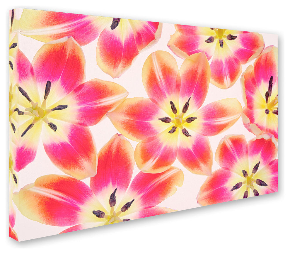 Cora Niele ''Yellow and Red Tulips'' Canvas Art