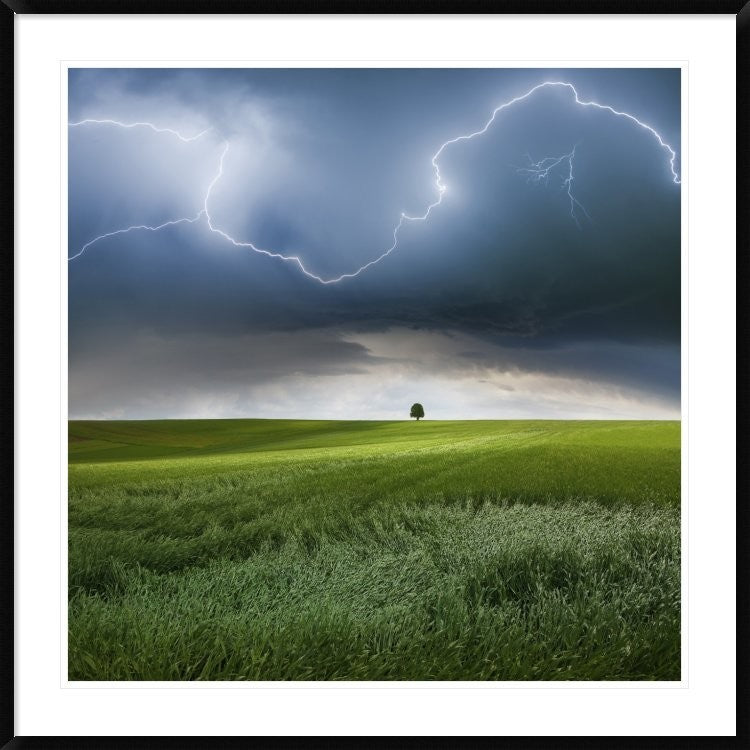 "Someplace In Summer" Framed Digital Print by Franz Schumacher, 44x44"